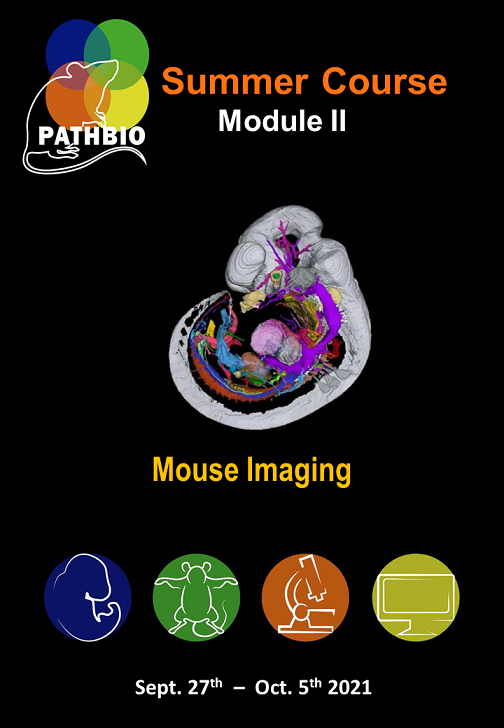 Cover_Imaging_PATHBIO_Course_2021_reduction.png